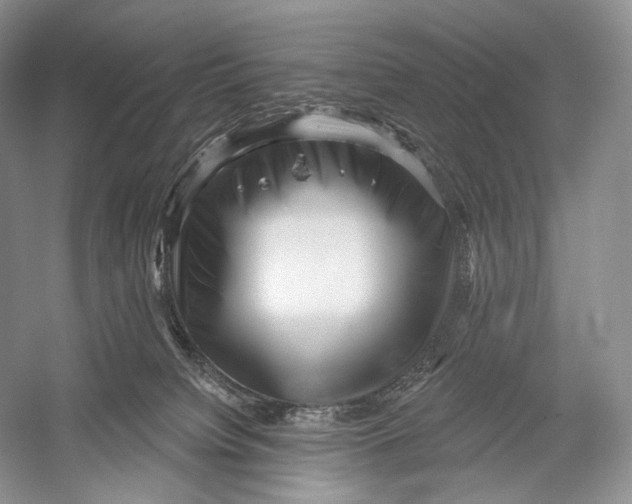 X0000052930084200508050841