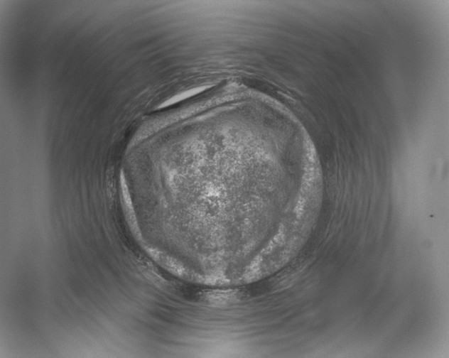 X0000052930085200508050841