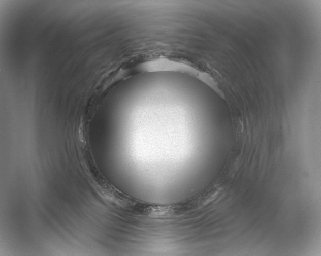 X0000052930088200508050841