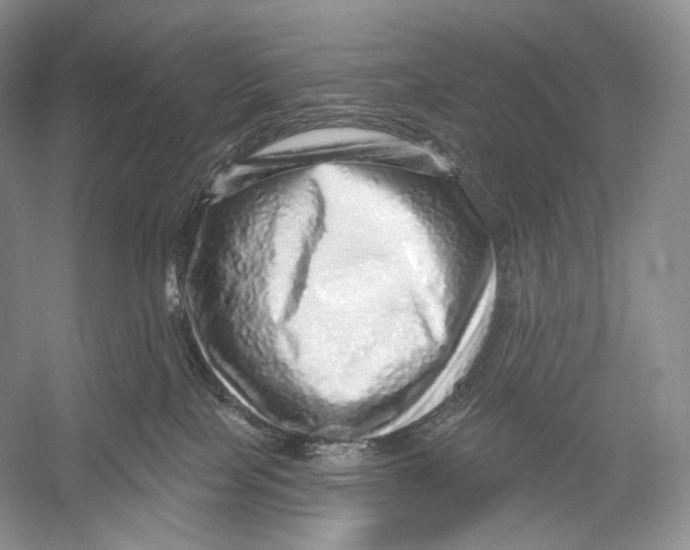 X0000052930089200508050841