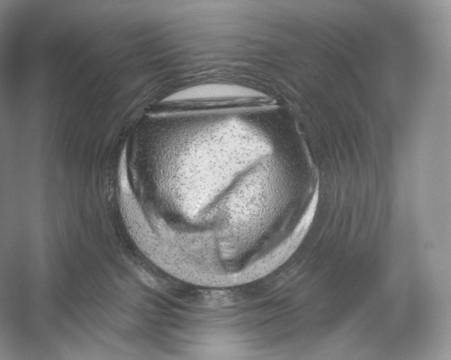 X0000052930091200508050841
