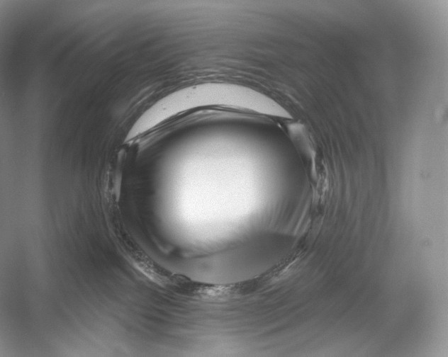 X0000052930092200508050841