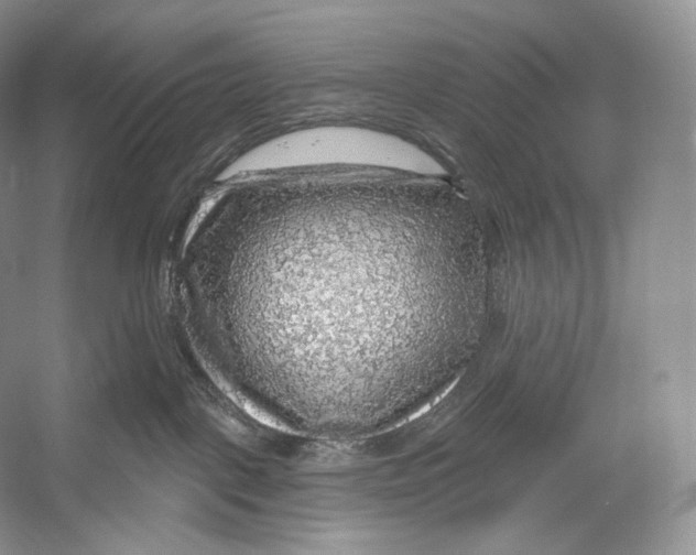 X0000052930093200508050841