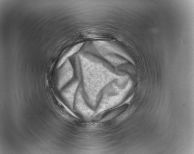 X0000052930096200508050841