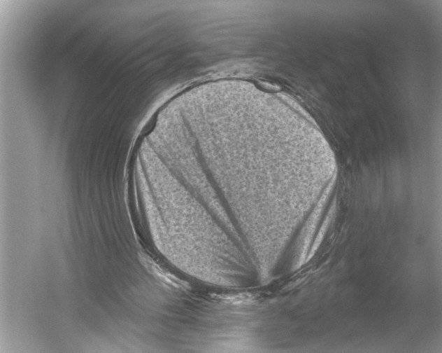 X0000052930100200508050840