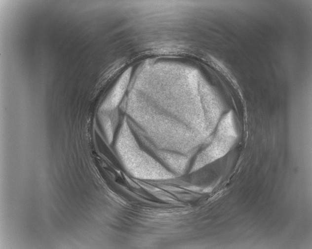X0000052930105200508050840