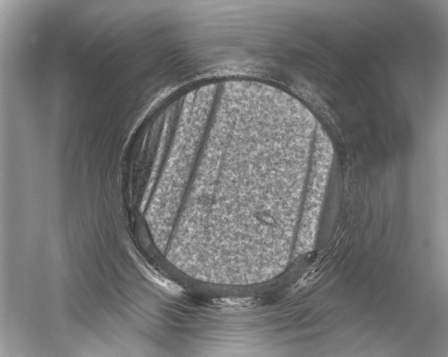 X0000052930108200508050840