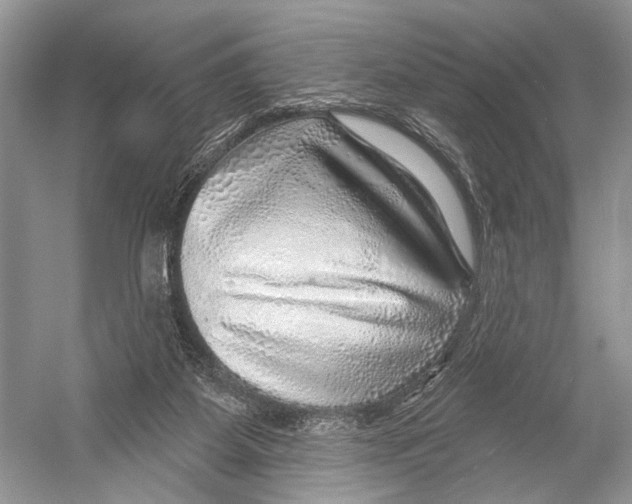 X0000052930115200508050840