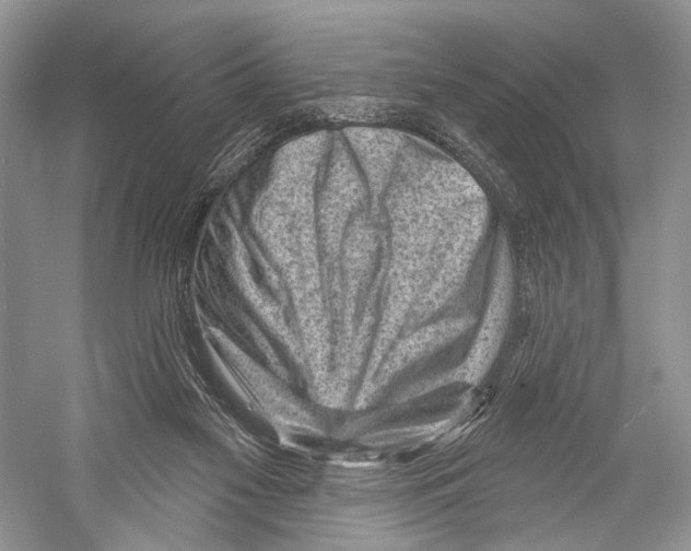 X0000052930117200508050840