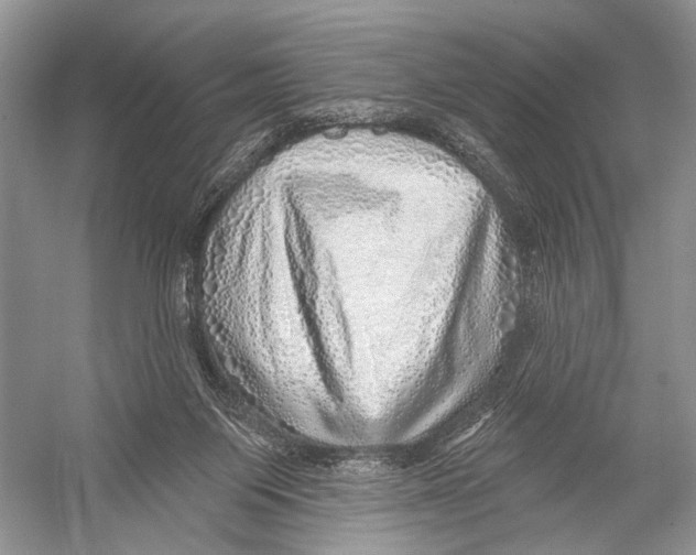 X0000052930119200508050840