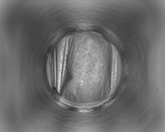 X0000052930121200508050840