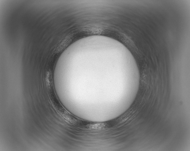 X0000052930122200508050839