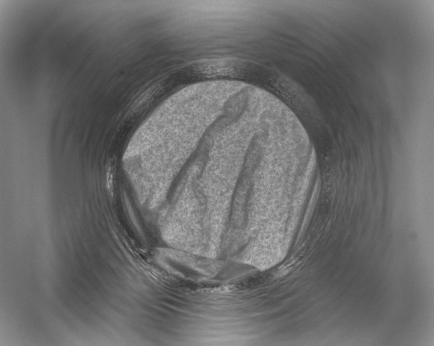X0000052930124200508050839