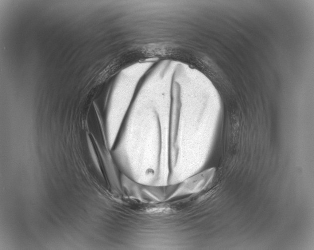 X0000052930125200508050839