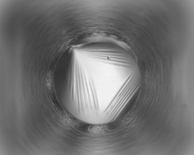 X0000052930129200508050839