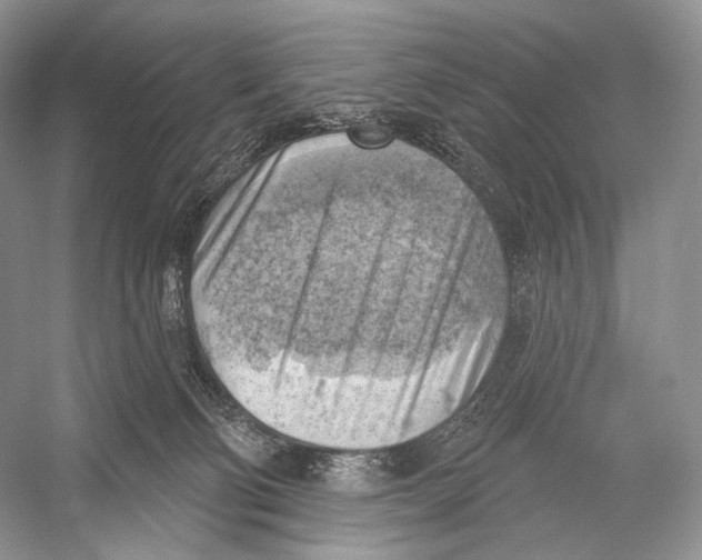 X0000052930130200508050839