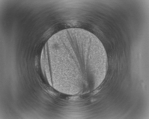 X0000052930132200508050839