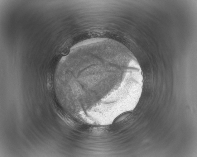 X0000052930134200508050839