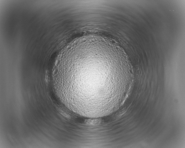 X0000052930135200508050839