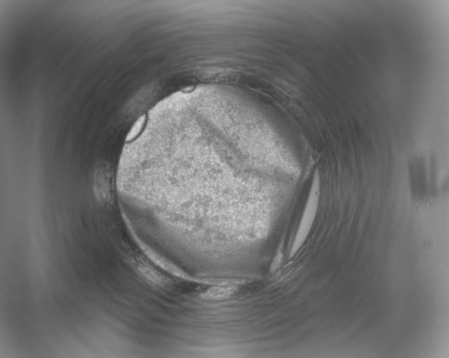 X0000052930138200508050839