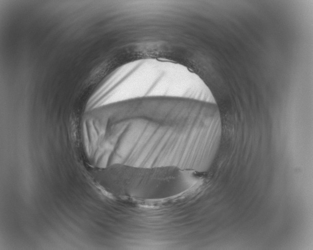 X0000052930139200508050839