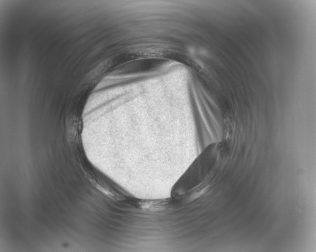 X0000052930141200508050839