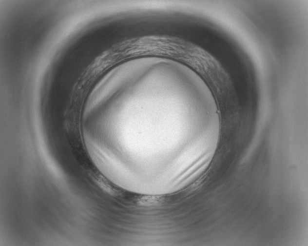X0000052930142200508050839