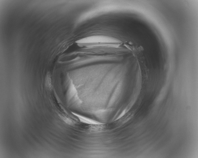 X0000052930143200508050839