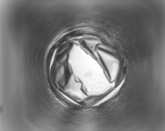 X0000052930150200508050838