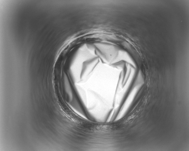 X0000052930152200508050838