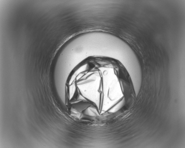 X0000052930156200508050838