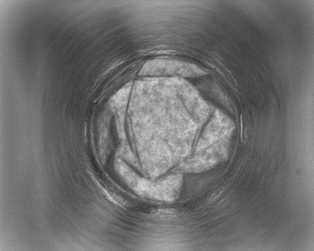X0000052930157200508050838