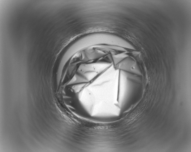 X0000052930160200508050839
