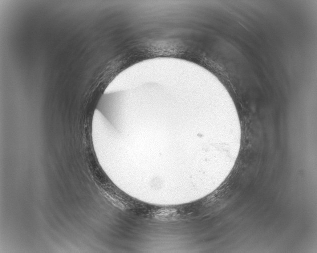 X0000052930162200508050839
