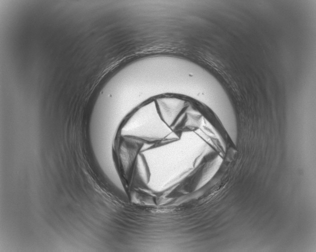 X0000052930164200508050839