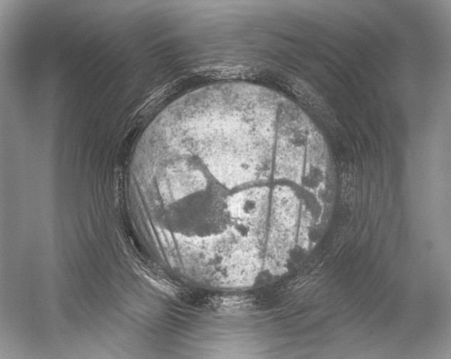 X0000052930165200508050839