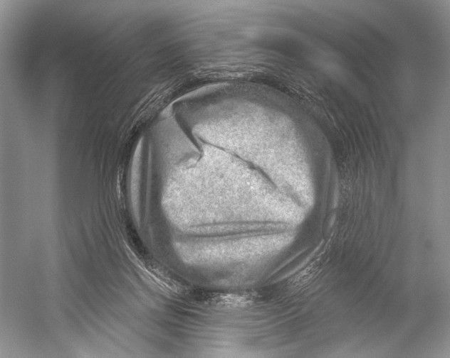 X0000052930166200508050839