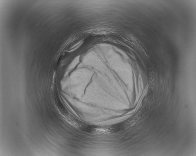 X0000052930167200508050839