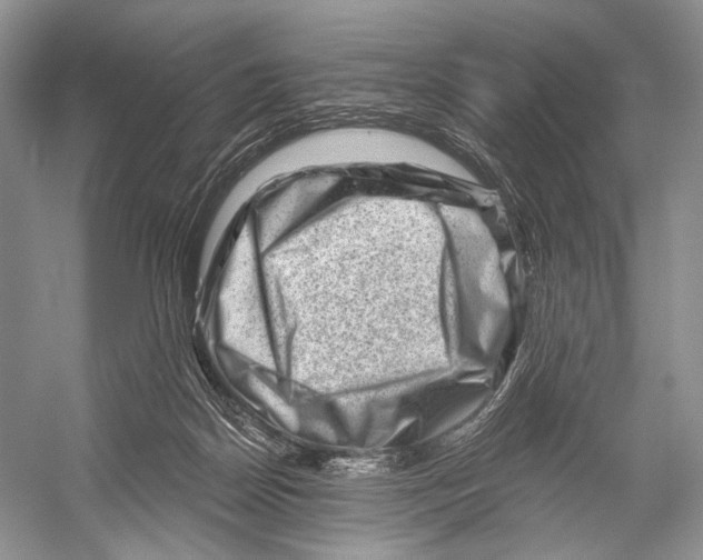 X0000052930170200508050839
