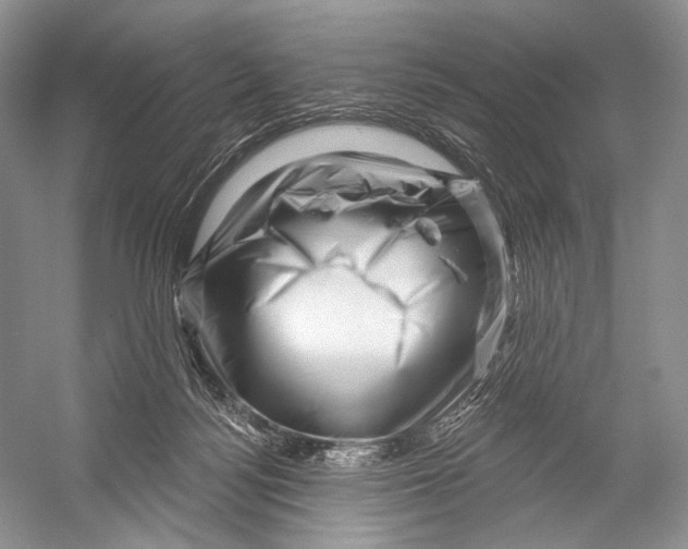 X0000052930172200508050839