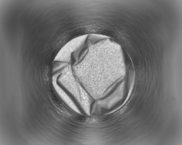X0000052930174200508050839