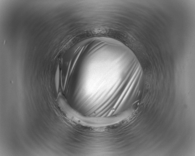 X0000052930176200508050839