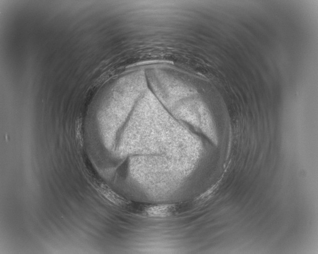 X0000052930178200508050839