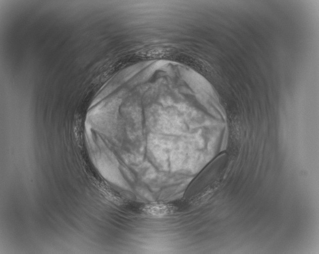 X0000052930181200508050839