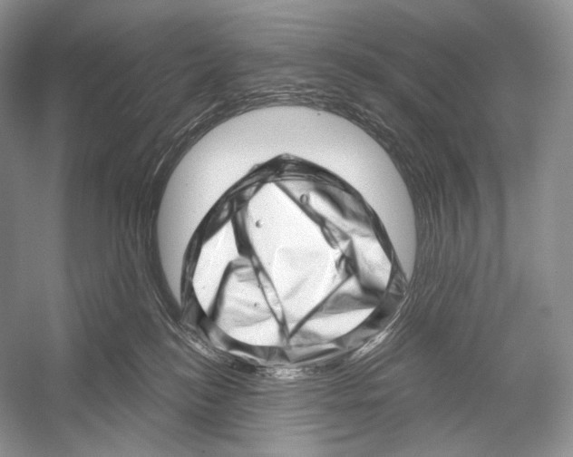 X0000052930184200508050839