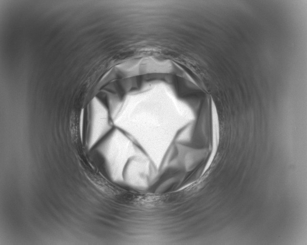 X0000052930186200508050839
