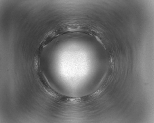 X0000052930188200508050839