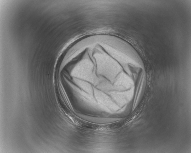 X0000052930196200508050838
