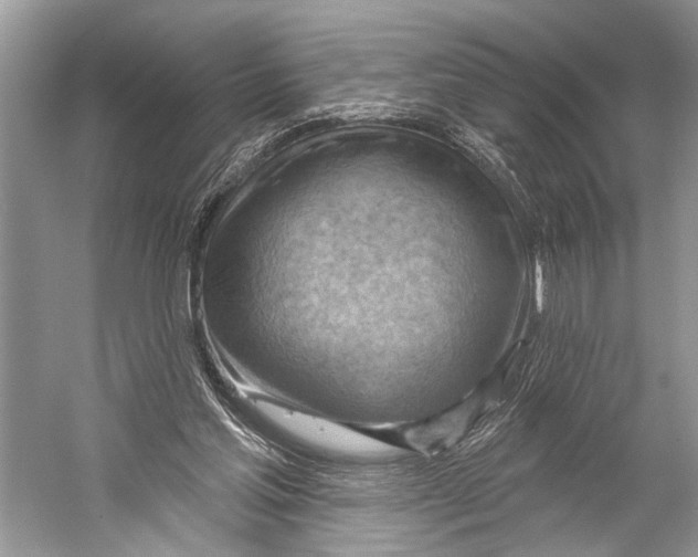 X0000052930205200508050838