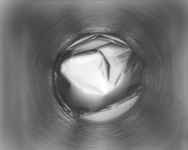 X0000052930207200508050838